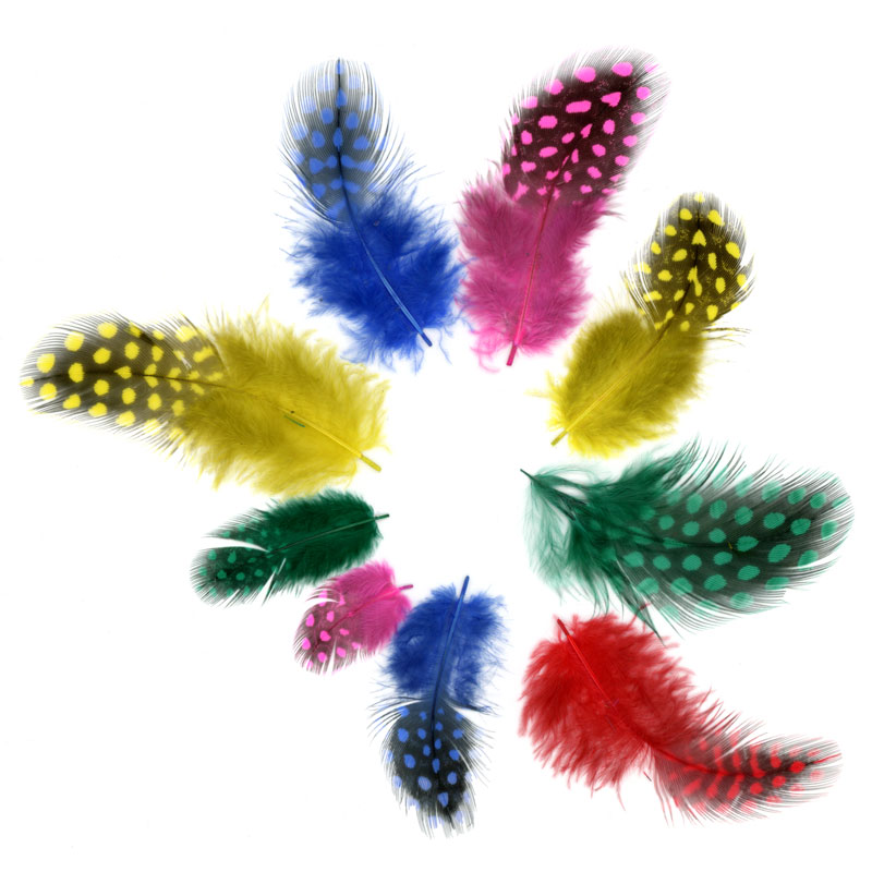 Perlhuhnfedern ca. 5 cm, 10 g — bunt sortiert