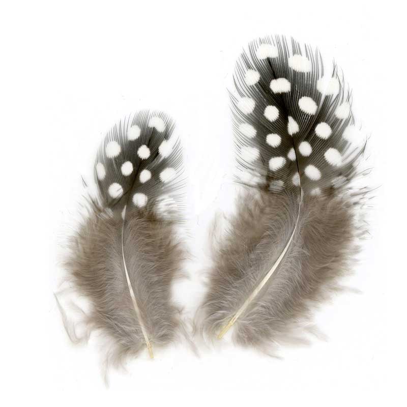 Perlhuhnfedern ca. 5 cm, 10 g — natur dunkel