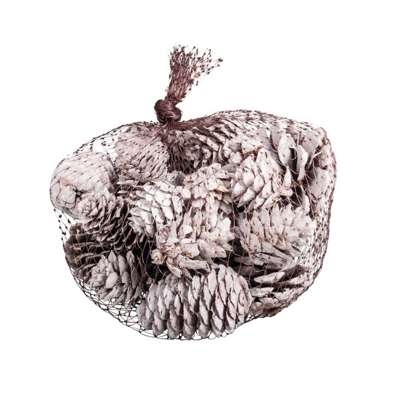 Zapfen-Set weiß, 25 Stk