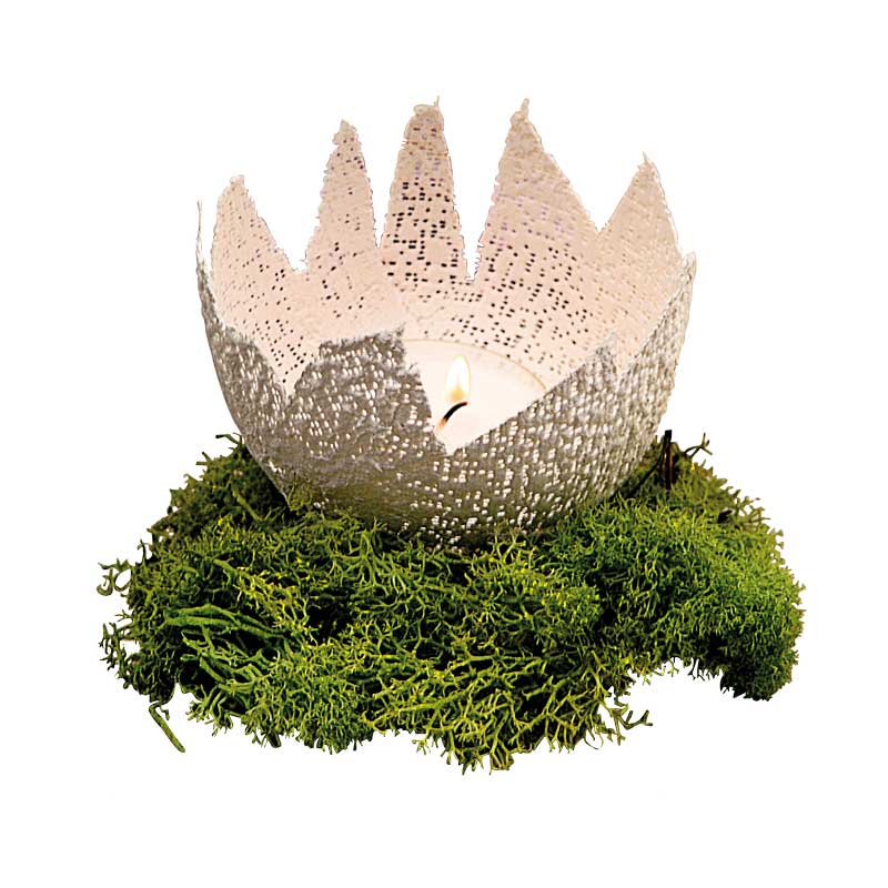 Islandmoos, 50 g - hellgrün